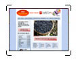 Network Marketing ,