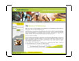 Online Marketing, Development, High Quality Traffic